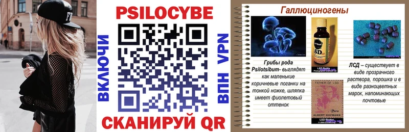 закладка Сокол Галлюциногенные грибы Cubensis
